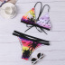new split swimsuit feminine print triangle swimsuit bikini  NSHL3341