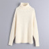 autumn alpaca blend loose knit turtleneck sweater NSAM3841