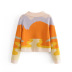 wholesale sunset oil painting sense color matching jacquard lapel loose short knit sweater  NSAM4180