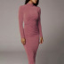 Solid Color Long Sleeve High Neck Dress NSAG4707