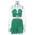 Sexy Halter Halter Camisole Top 2 Piece Pleated Floral Skirt Set NSAG5279