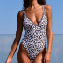   sexy split bikini one-piece printed swimsuit  NSHL2031