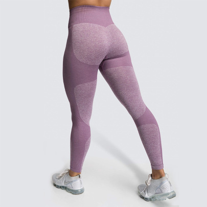 Seamless Knitted Hip Sweat-absorbent Yoga Pants NSLX9001