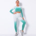 Seamless Knitted Hang-Dye Gradient 2 Piece Yoga Suit NSLX9054