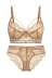 Sexy Lace Bra Ladies Underwear Set NSCL9227