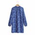 Blue floral long-sleeved dress  NSAM10427