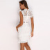 White sleeveless lace sexy party dress  NSYI11285