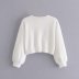 round neck button fluffy knitted cardigan NSAM11965
