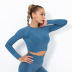 Seamless Knitted Sexy Solid Color Long-Sleeved Yoga Clothes NSNS12220
