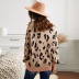 autumn new loose leopard pattern v-neck pullover sweater  NSSI12828
