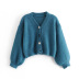 new V-neck long-sleeved loose wild girl button cardigan  NSAM6493