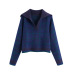 winter collar V- neck plaid sweater  NSAM14281