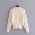 wholesale autumn and winter eight-strand knitted knitted sweater ladies sweater NSAM6677