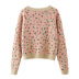 leopard print pink short high waist sweater NSAM7209