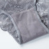 sexy lace translucent low waist briefs NSXQ14494