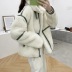 Solid Color Warm Plush Fur Coat NSAC19375