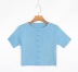 camiseta corta de punto con cuello redondo pequeño NSAC20950