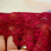 sexy lace panties  NSXQ15152