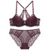New sexy lace underwear set  NSCL15162
