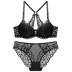 New sexy lace underwear set  NSCL15162