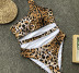 Sexy Leopard One-Piece Swimsuit NSDA21245