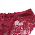 new sexy transparent lace large size briefs NSSM21303