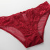 sexy lace full transparent panties  NSSM21514