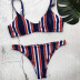  color striped split swimsuit NSZO22235
