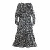 Winter Printed Long Sleeve Dress  NSAM22532