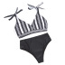 new color stripe print sexy high waist swimwear  NSHL23344