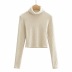Autumn and winter high-necked wool-like bottoming shirt   NSHS23409