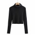 Autumn and winter high-necked wool-like bottoming shirt   NSHS23409