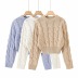 Thick autumn and winter hedging short knit all-match sweater NSHS24340