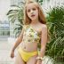 children s new printed split bikini  NSHL16802