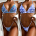 Hot sale Triangle New Swimsuit Ladies Split Swimwear wholesale NHDA80