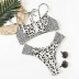 fashion leopard print split bikini NSHL31346
