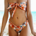 traje de baño bikini anudado con top de tubo estampado sexy NSHL31553