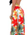 sexy low-cut sling V-neck print big swing dress NSCZ33489