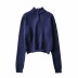 Zipper stand collar pullover sweater NSAC24915
