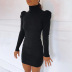 autumn and winter new puff sleeve high neck sexy solid color dress  NSXE25446