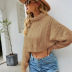 solid color turtleneck short cable loose knitted sweater nihaostyles clothing wholesale NSYH82930