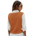 Solid Color V-Neck Cable Knitted Sweater Vest NSYH82724