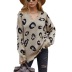 autumn and winter v-neck leopard sweater nihaostyles wholesale clothing NSMMY82821