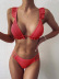 Solid Color Ruffled Bikini 2 Piece Swimsuit NSCMB95174