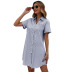 Short-Sleeved Lapel Striped Shirt Dress NSDMB95918