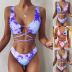 Split Strap Tie-Dye Print Sexy Bikini 2 Piece Swimsuit NSCMB96176