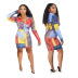 Long-Sleeved V-Neck Paisley Element Print Dress NSFDD96595