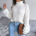 High-Neck Long-Sleeved Hollow Casual Knitted Sweater NSBJ97926
