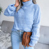 High-Neck Long-Sleeved Hollow Casual Knitted Sweater NSBJ97926