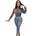 mesh see-through tiger leopard head printed long-sleeved jumpsuit trousers set nihaostyles clothing wholesale NSMX88495